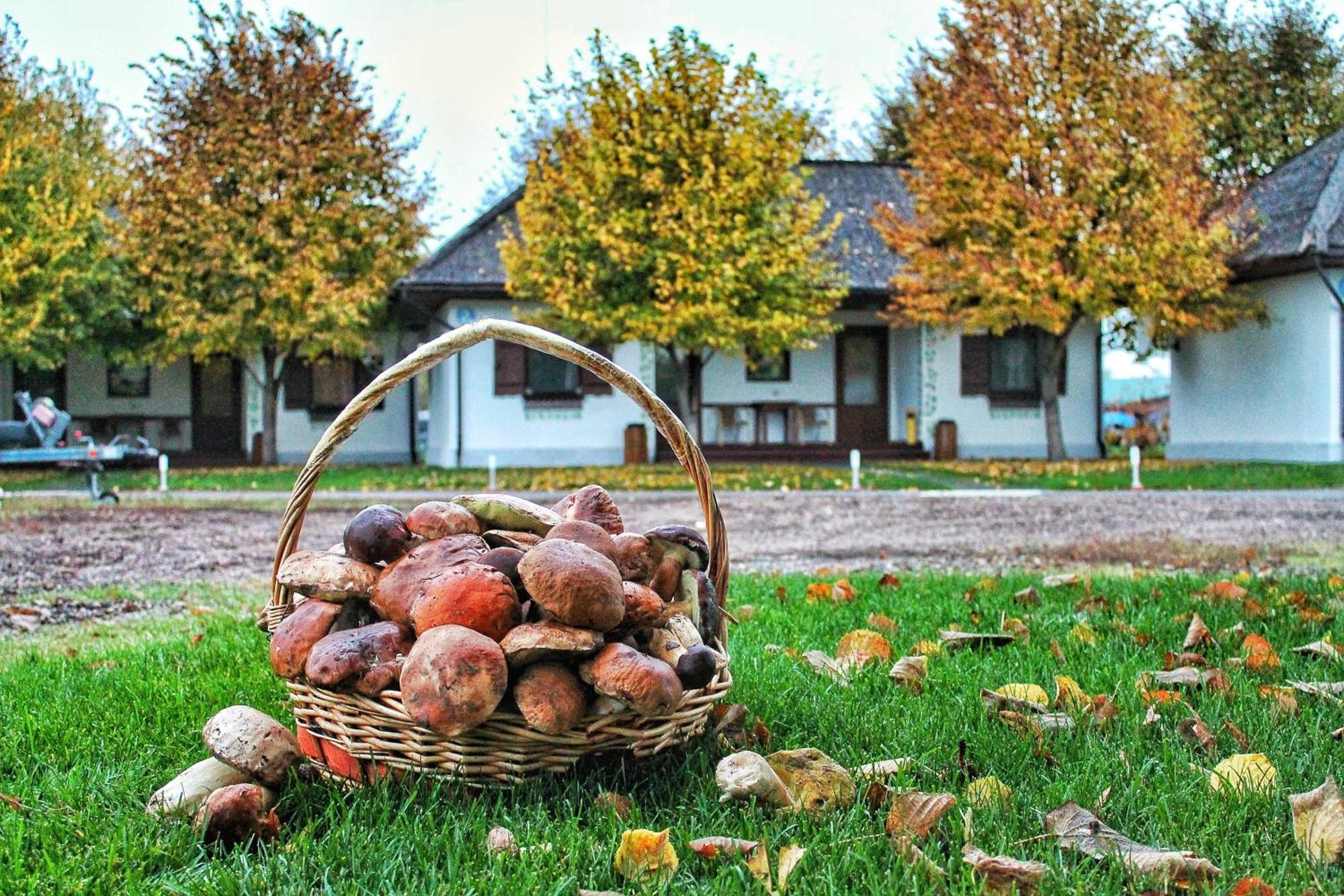 Svetlogorskoye Bereg Holiday Park מראה חיצוני תמונה